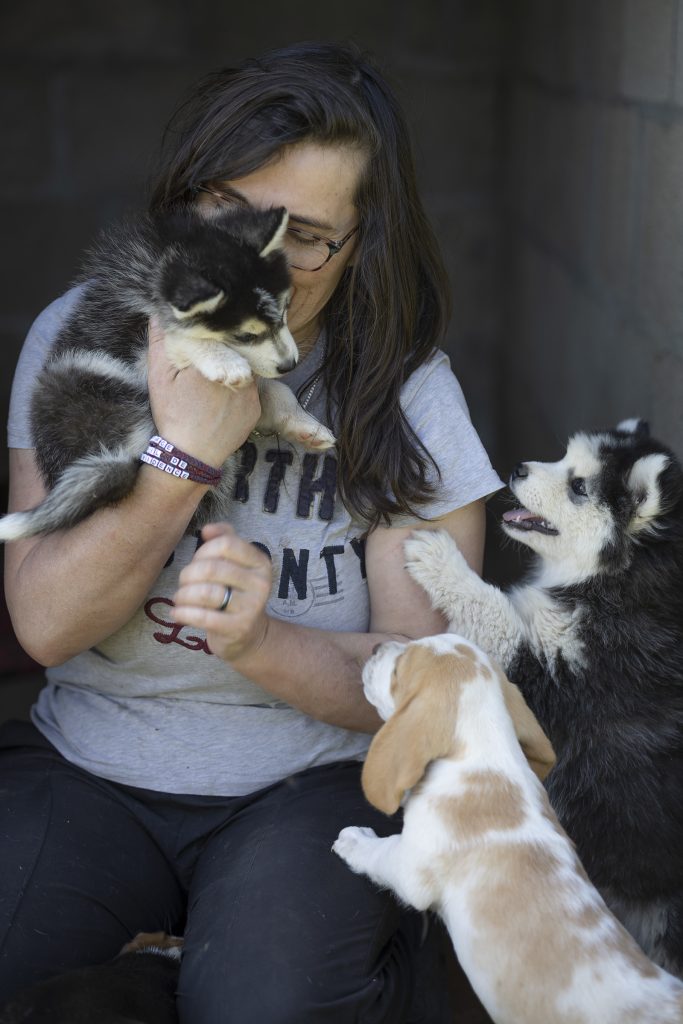  i1a1345 © arnaud bertereau