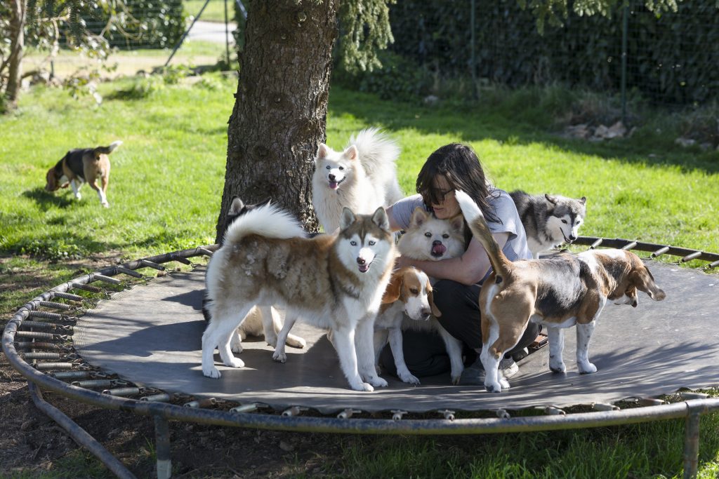  i1a1624 © arnaud bertereau